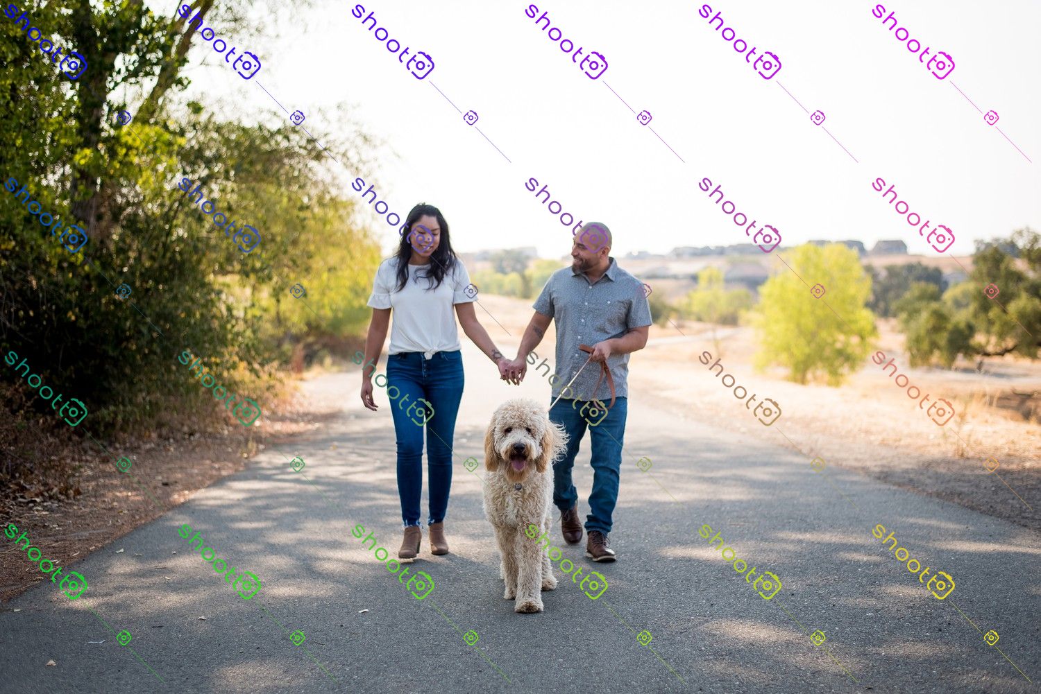 Portfolio picture 23