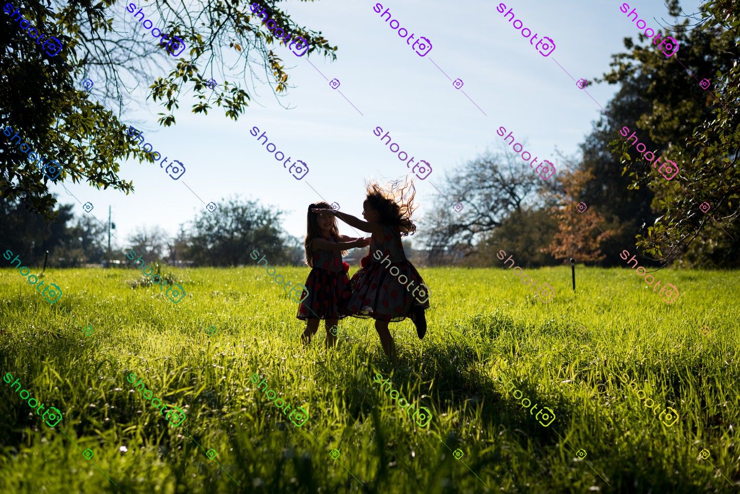 Portfolio picture 12